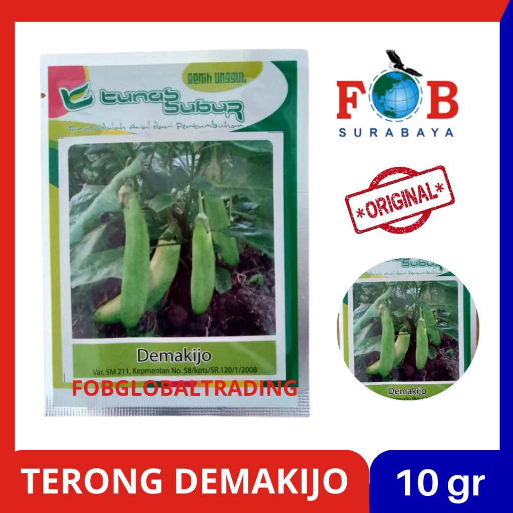 BENIH TERONG PANJANG HIJAU DEMAKIJO 10 GRAM TUNAS SUBUR