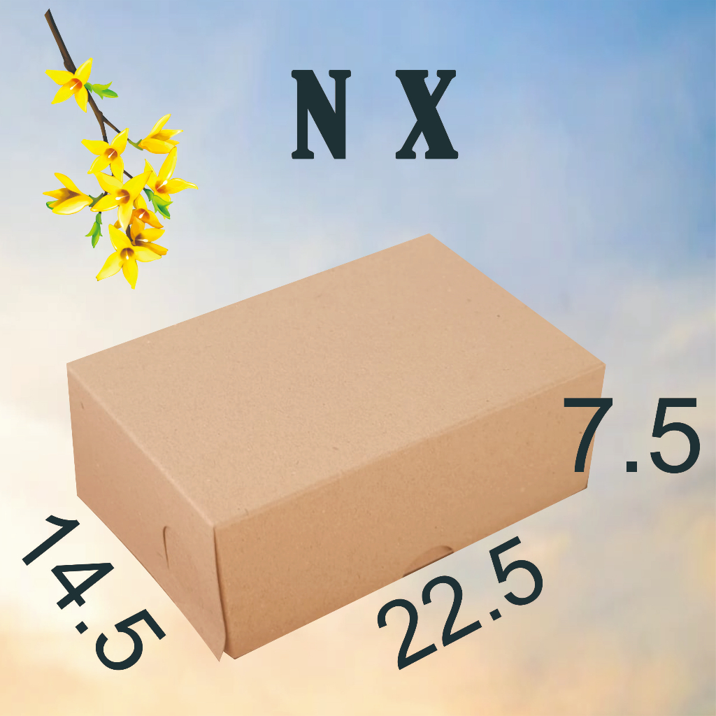 

NX 350 BKraft 22,5x14,5 isi 50 lmbr Dus/Kardus/Kerdus/Dos Nasi Makanan Kue Roti