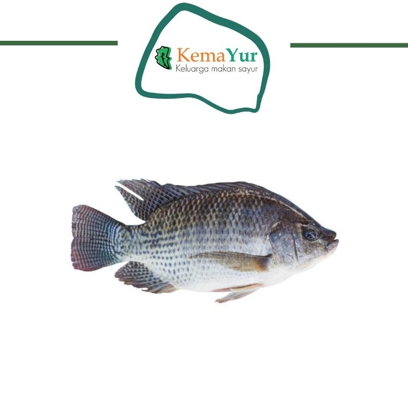 

IKAN MUJAIR FRESH 500 GR