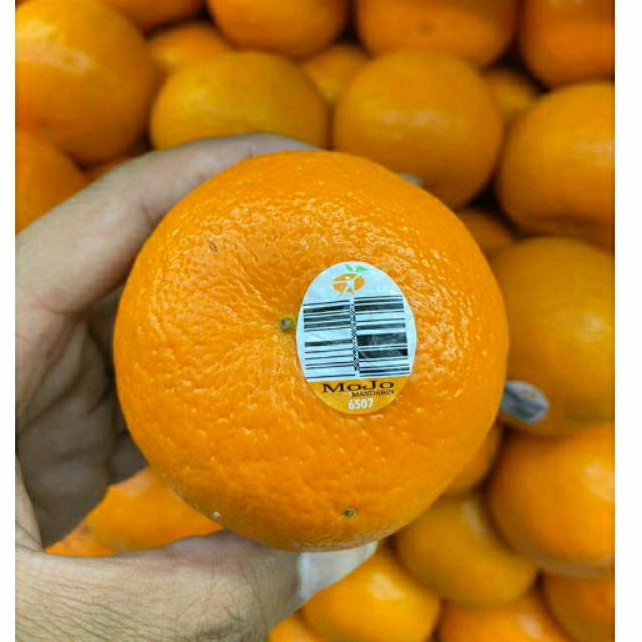 

Jeruk Mojo Mandarin Australia 1 Kg