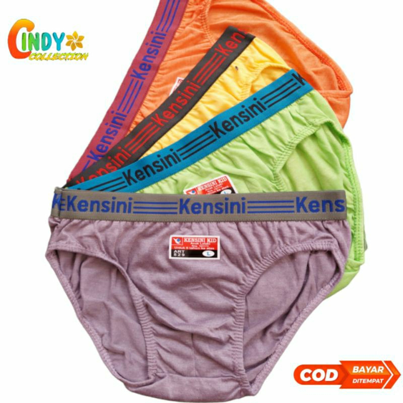 6 PCS CELANA DALAM ANAK LAKI LAKI KENSINI | CD ANAK LAKI LAKI KARET BOXER