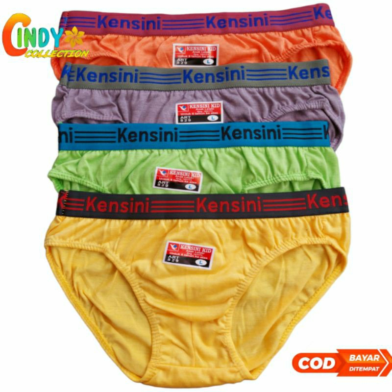 6 PCS CELANA DALAM ANAK LAKI LAKI KENSINI | CD ANAK LAKI LAKI KARET BOXER