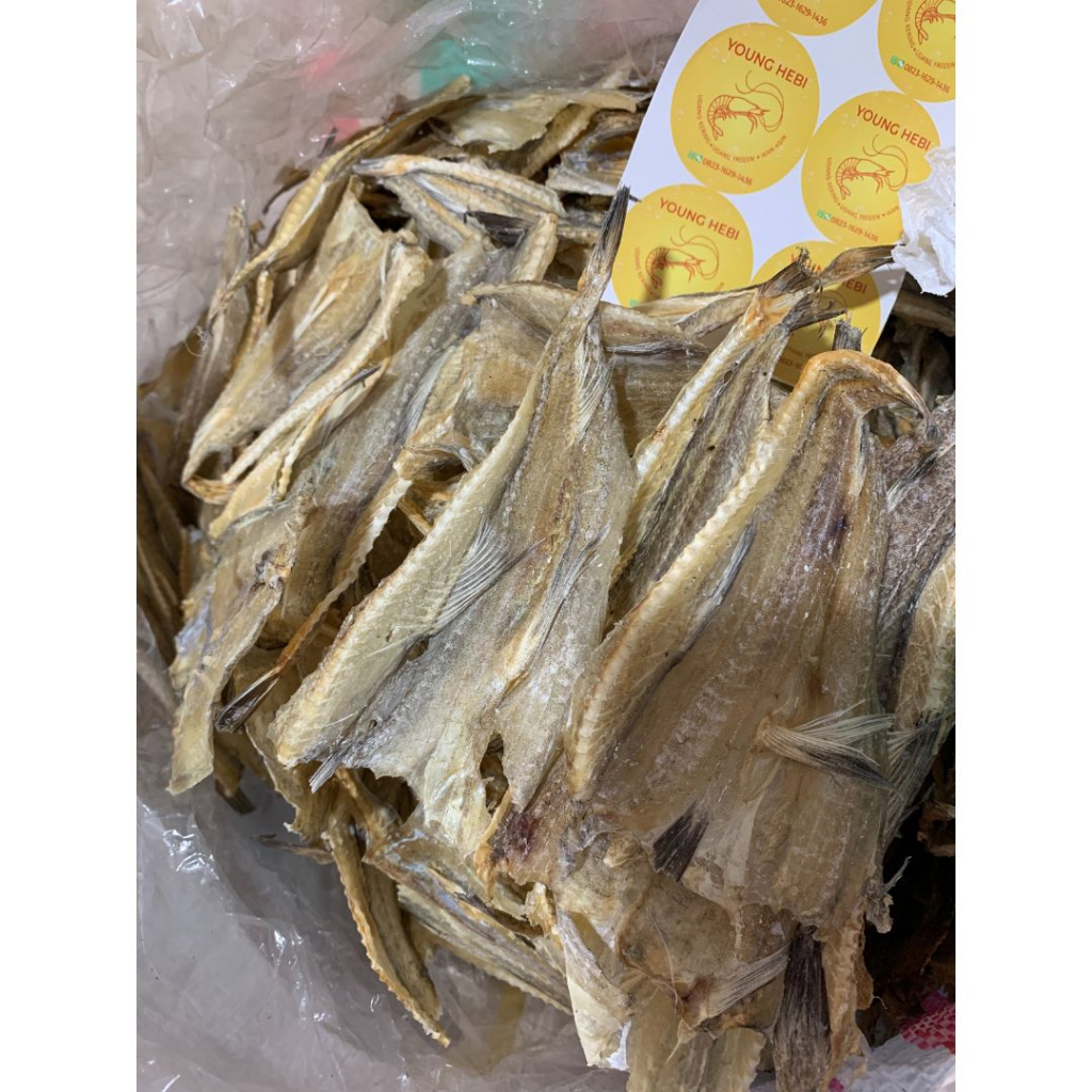 

[Young Hebi] Ikan Asin Tipis Jambrong Bagan 1/2 kg TERMURAH ENAK / Ikan Asin Pepija Kering Siting Keping Tiau 500 gram Bagan Sinaboi