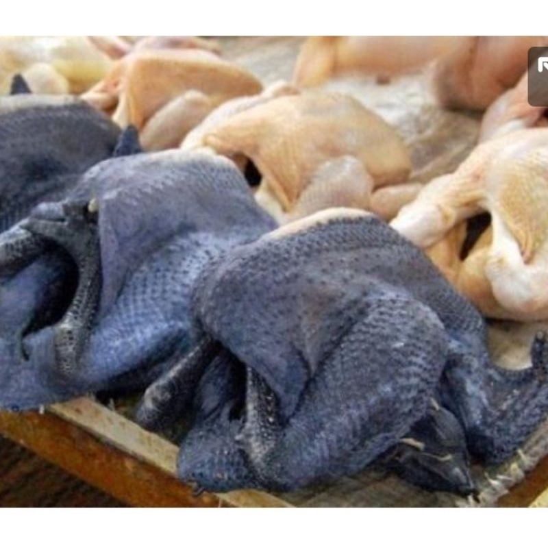 

Daging ayam hitam beku utuh / chicken black 1 pcs 500-600 grm
