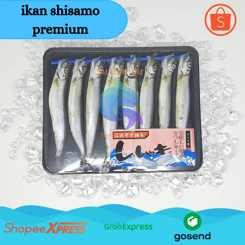 

Ikan Shisamo/ Shisamo/ Capelin/ Ikan Cipung/ Full isiTelor