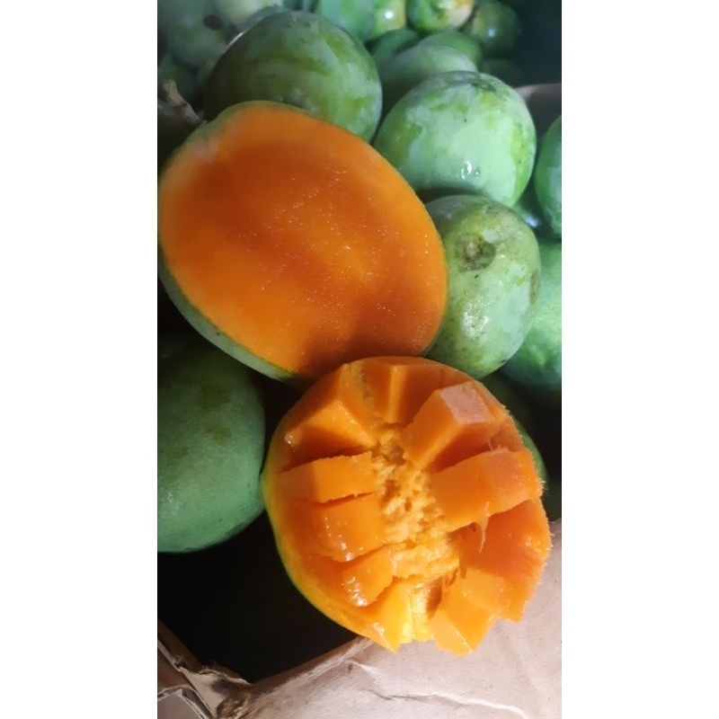 

Mangga Sengir Jawa 5 kg (Booking Salsa)