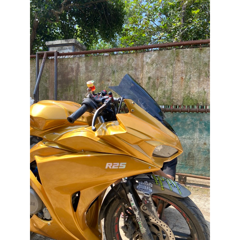 Full fairing vixion r new model r25