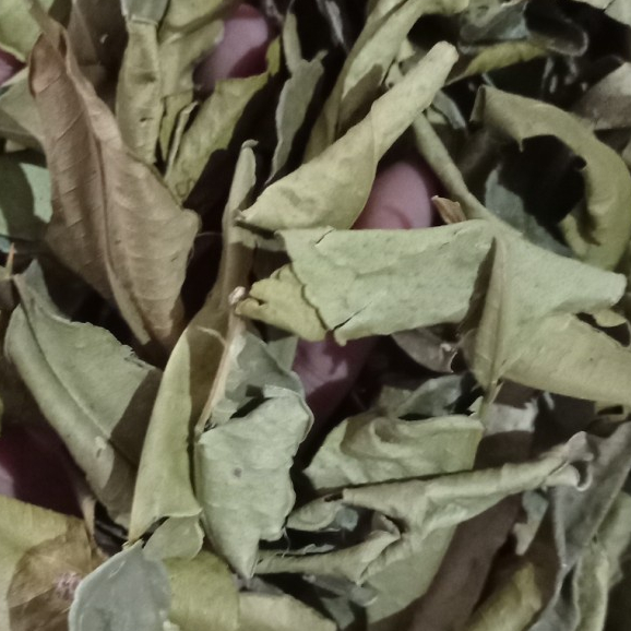 

TERBAIK DAUN JERUK PURUT KERING -1 KG