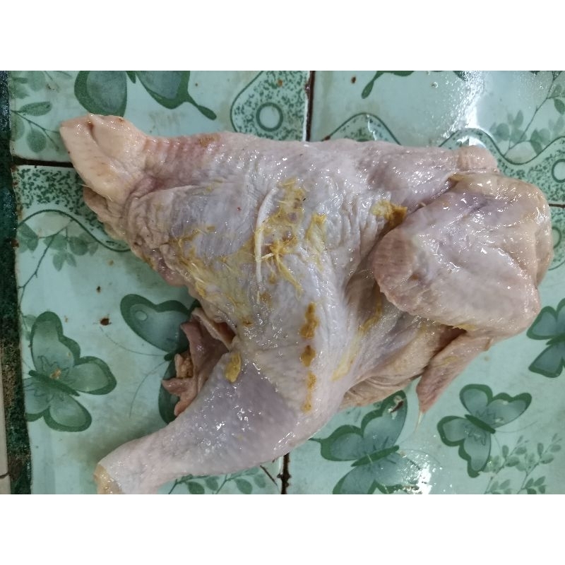 

AYAM SETENGA EKOR