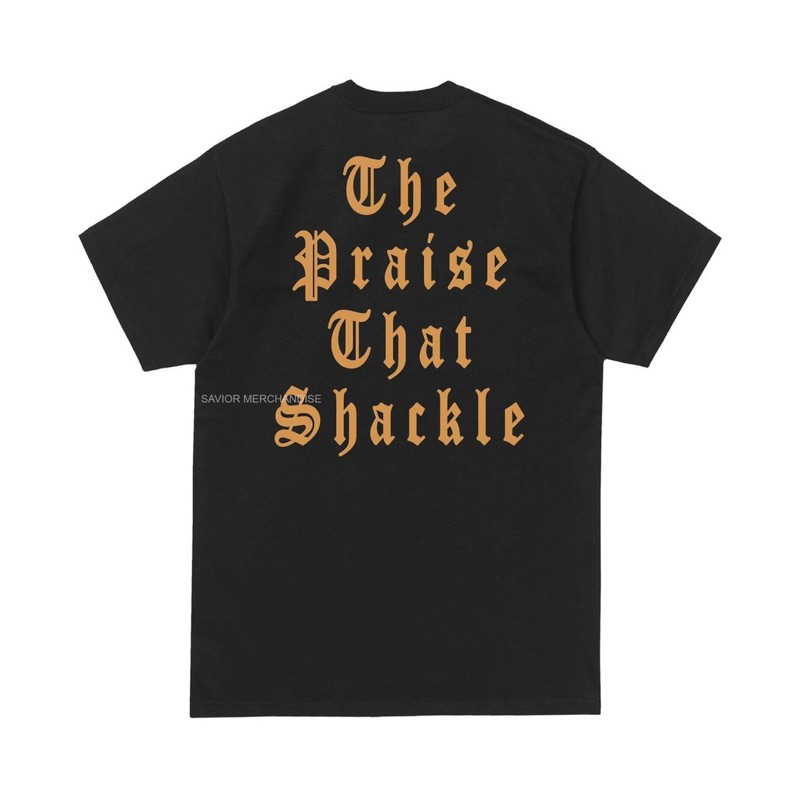 PARANOID DESPIRE - VEIL