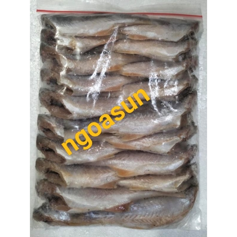 

senangin kecil Riau Panipahan