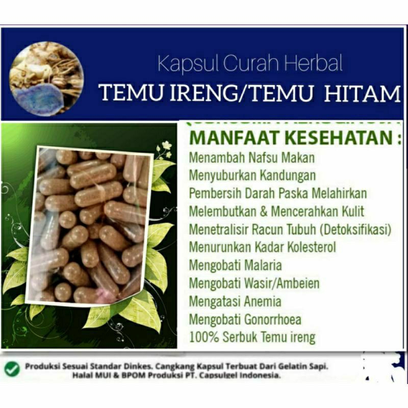 

TEMU HITAM 100 KAPSUL OBAT HERBAL ALAMI (GRADE A5)