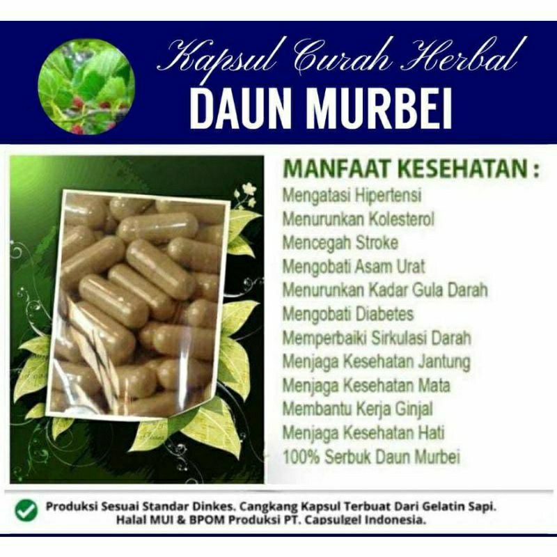 

DAUN MURBEI 100 KAPSUL OBAT HERBAL ALAMI (GRADE A5)