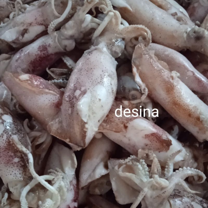 

Ikan asin cumi rebus/ sotong rebus size jumbo berat 1kg