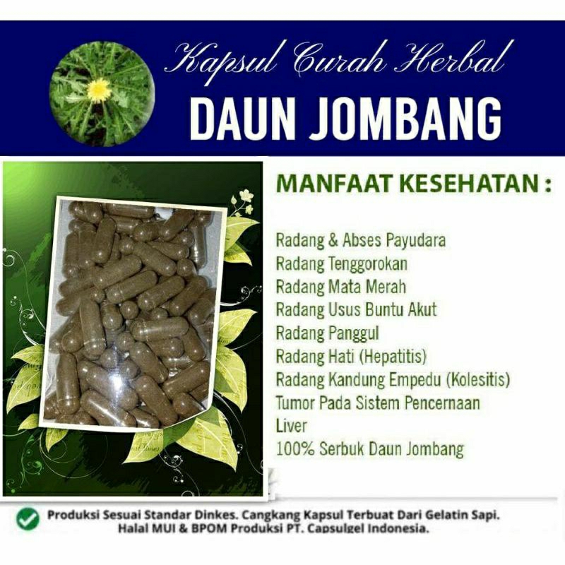 

DAUN JOMBANG 100 KAPSUL OBAT HERBAL ALAMI (GRADE A5)