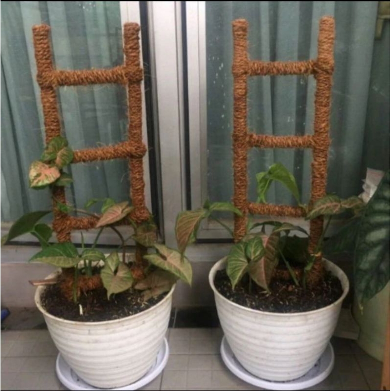 Turus Tangga Sabut Kelapa 70 cm,Penyangga Tanaman Rambat,Panjang 70 cm.Lebar 20 cm.