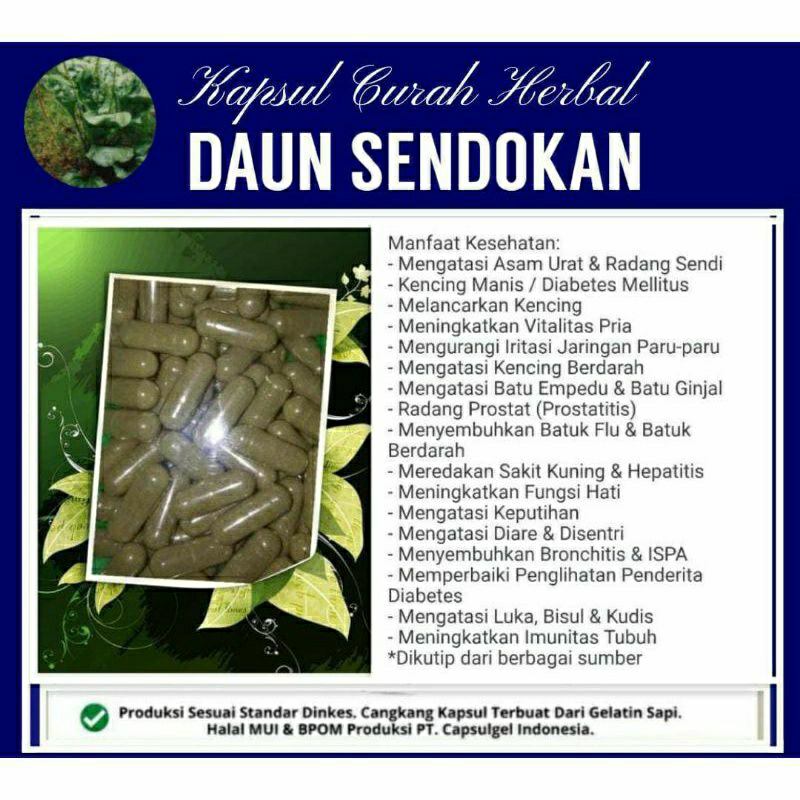 

DAUN SENDOKAN 100 KAPSUL OBAT HERBAL ALAMI (GRADE A5)