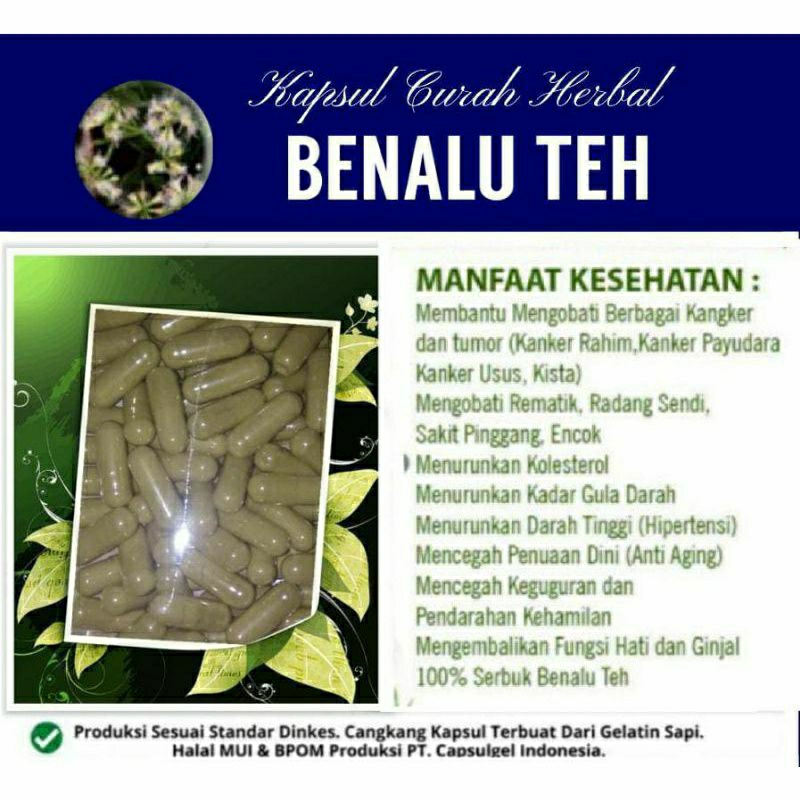 

BENALU TEH 100 KAPSUL OBAT HERBAL ALAMI (GRADE A5)