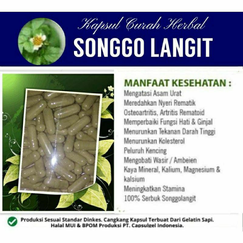 

SONGGO LANGIT 100 KAPSUL OBAT HERBAL ALAMI (GRADE A5)