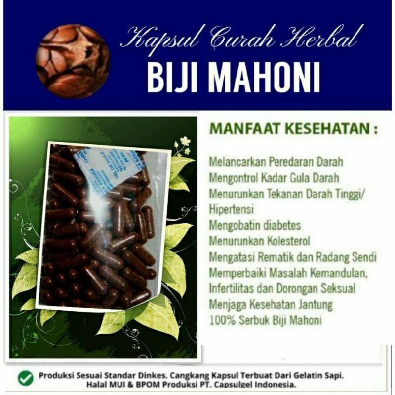 

BIJI MAHONI SUPER PREMIUM 100 KAPSUL OBAT HERBAL ALAMI (GRADE A5)