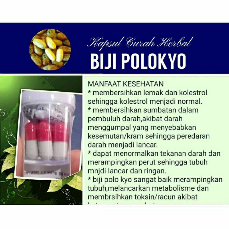 

BIJI POLOKYO SUPER PREMIUM 100 KAPSUL OBAT HERBAL ALAMI (GRADE A5)