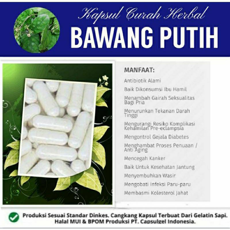 

BAWANG PUTIH 100 KAPSUL OBAT HERBAL ALAMI (GRADE A5)