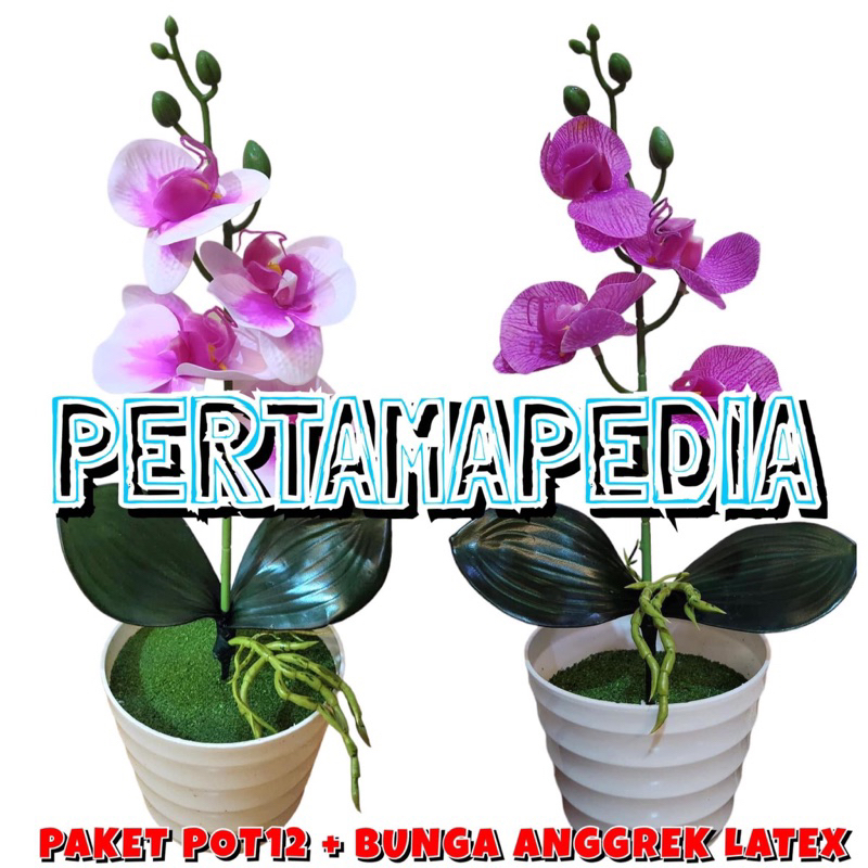 Bunga Anggrek LATEX Premium/ Bunga Dekorasi Plastik/ Daun Dekorasi/ Hiasan Dekorasi/ Tanaman Dekoras