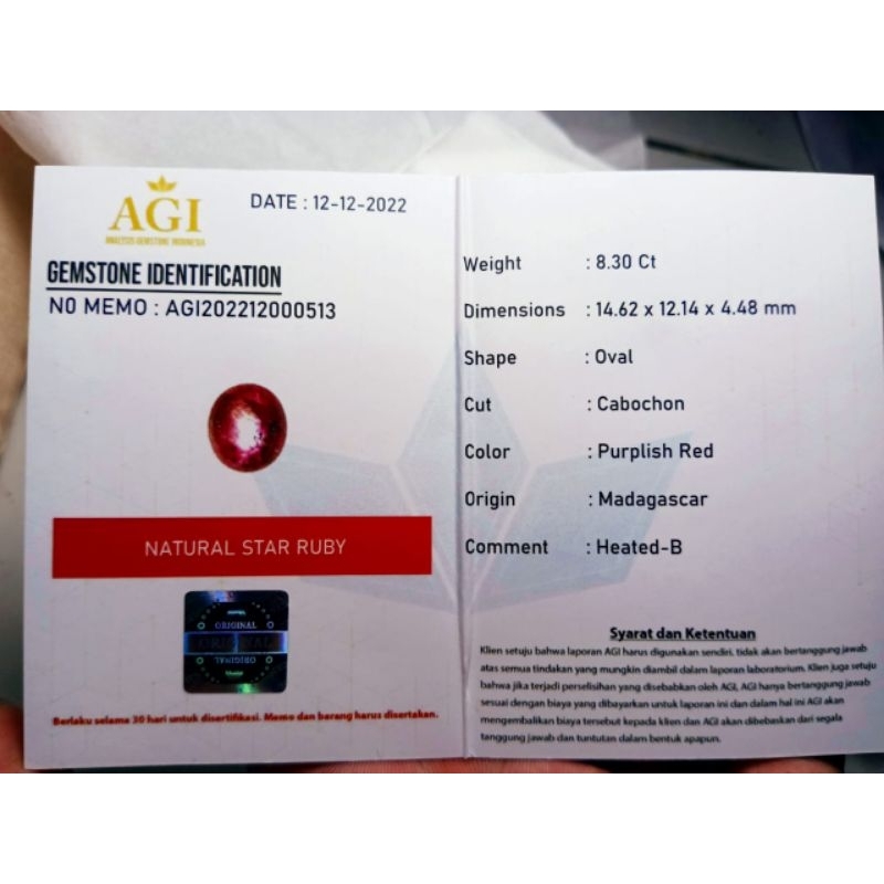 LOSETONE PURPLISH RED STAR RUBY OVAL + MEMO LAB ASLI NATURAL