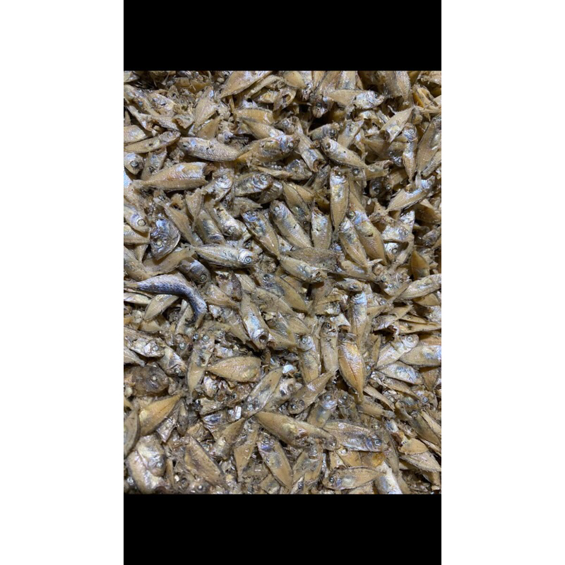 

IKAN ASIN WINGKI WINGKI