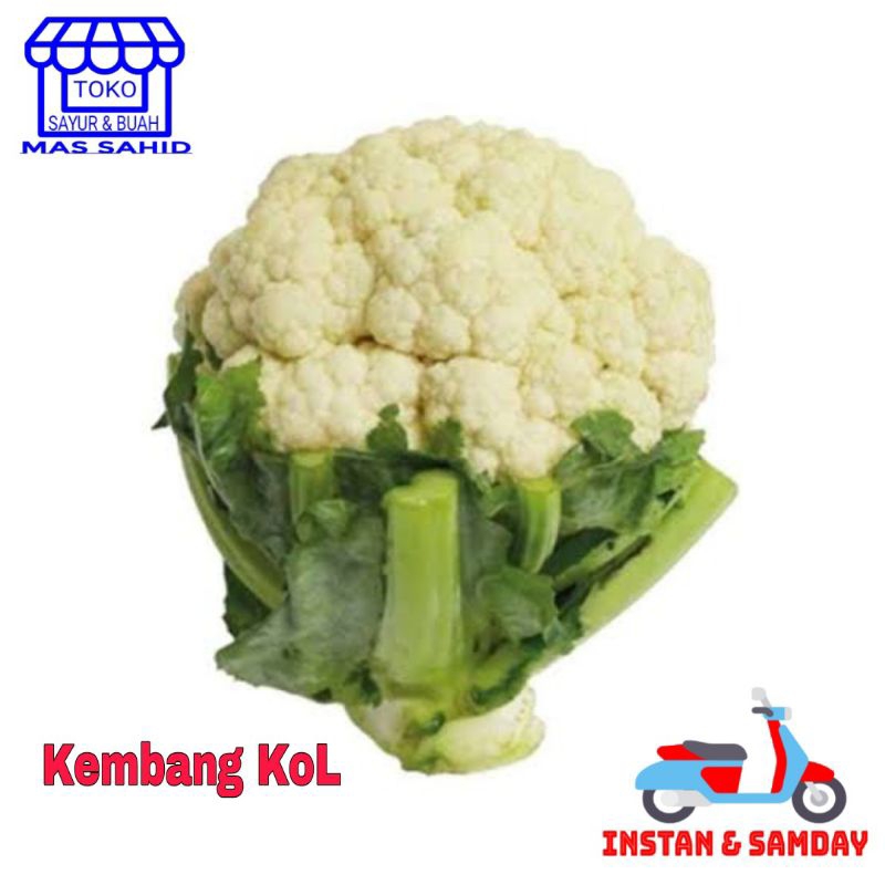 

Kembang Kol Segar Kembang Kol Fresh KIRIM INSTAN & SAMEDAY