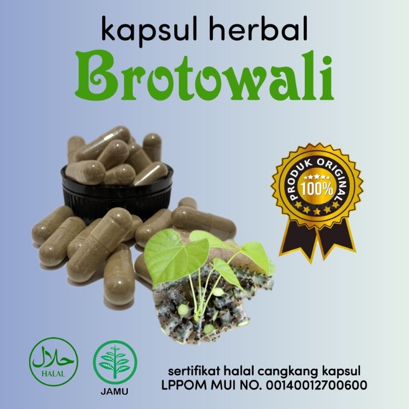 BROTOWALI ISI 100 KAPSUL | herbal curah Brotowali