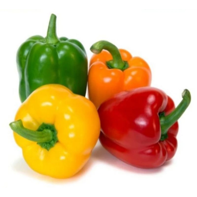 

Sayur Paprika Fresh