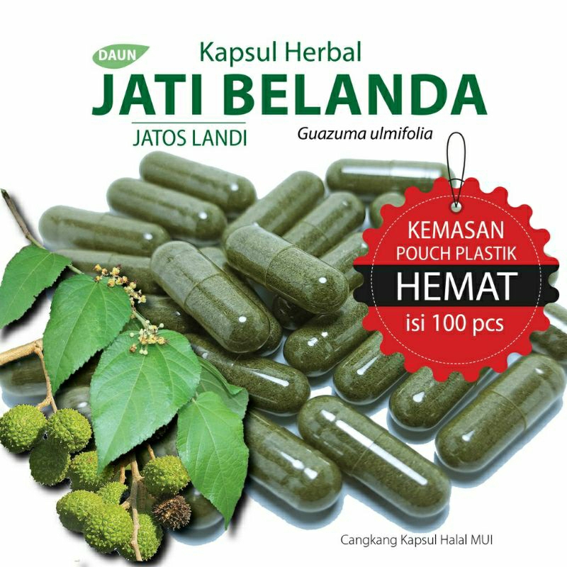 

JATI BELANDA 100 KAPSUL OBAT HERBAL TERBAIK (GRADE A5)