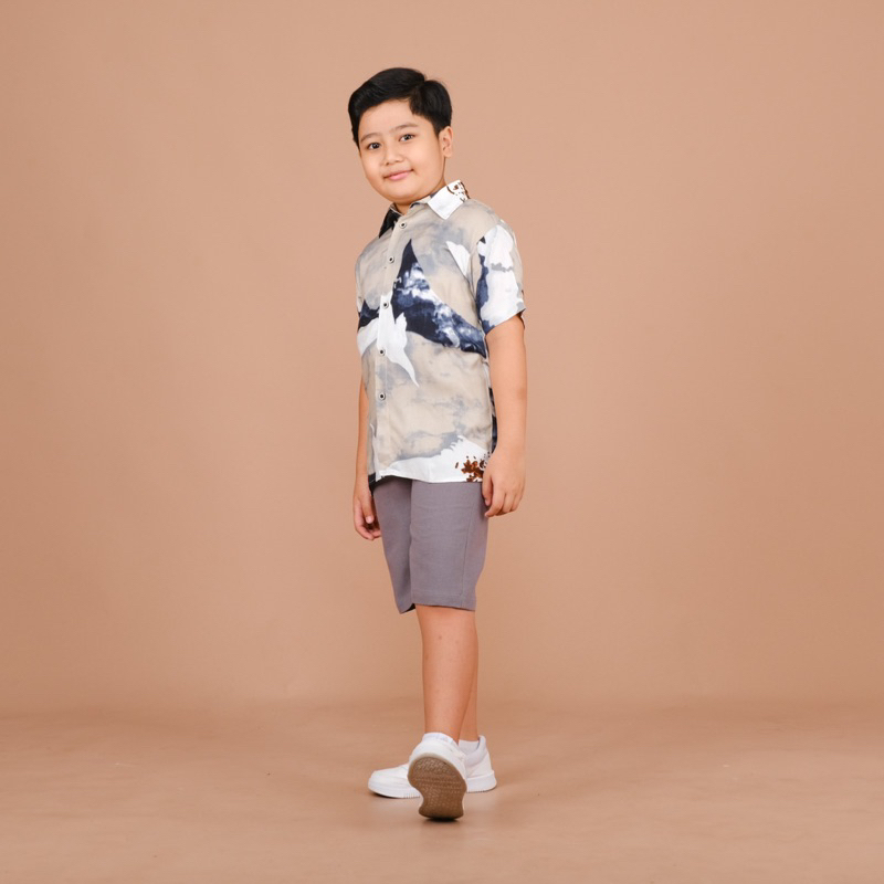 Kemeja Anak Lengan Pendek 1 2 3 4 5 6 Tahun baju pantai motif Summer Bahan Katun Wolpis