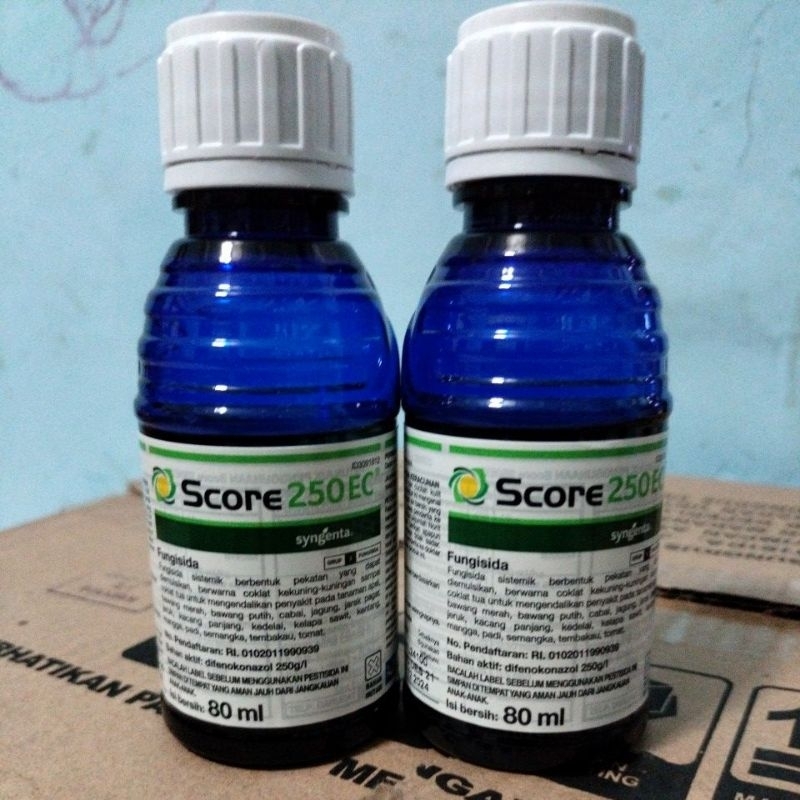 Score 80ml fungisida