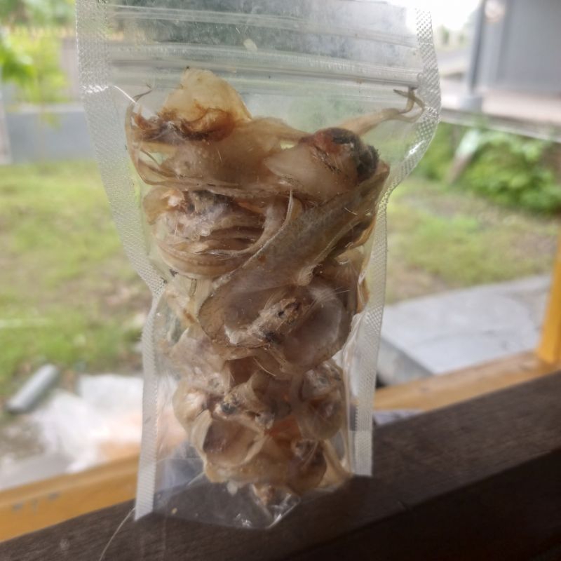 

Ikan Asin Kepala Batu