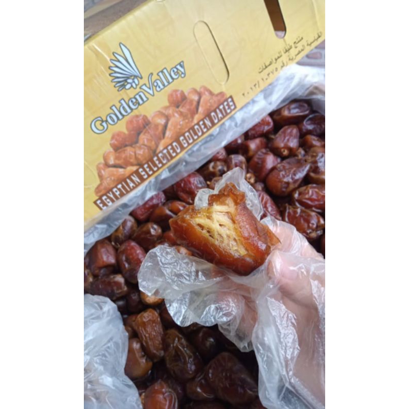 

kurma mesir golden valley