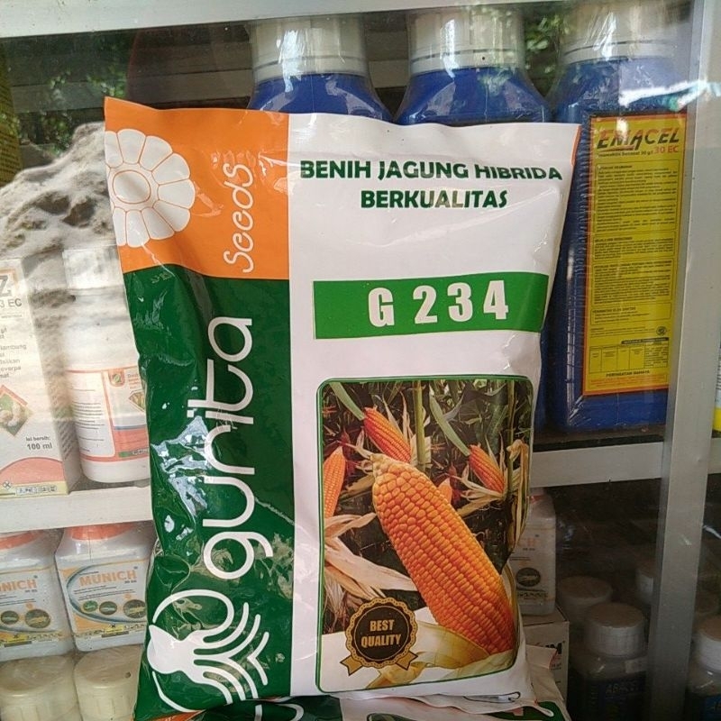 Benih jagung/seeds GURITA/benih jagung hibrida