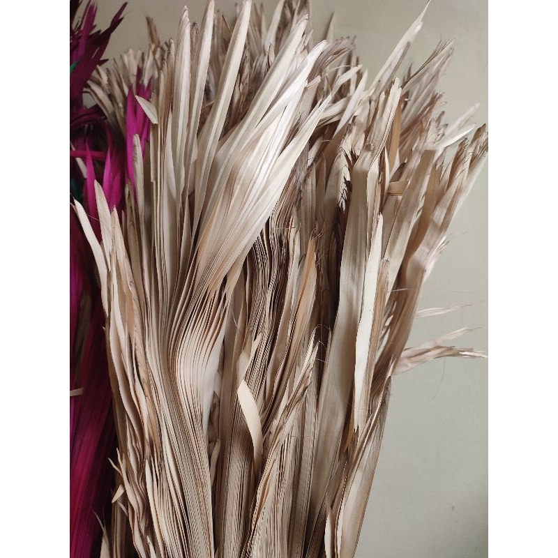 busung ibung bali/busung ibung/busung ibung Sulawesi/janur kering/ daun woka kering