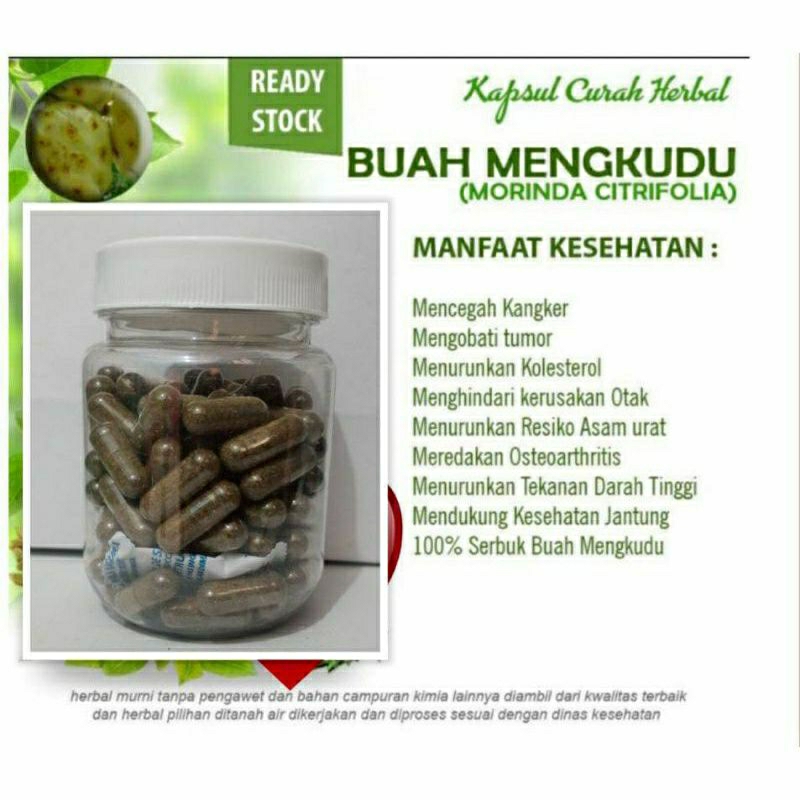 

BUAH MENGKUDU 100 KAPSUL OBAT HERBAL TERBAIK (PREMIUM QUALITY)