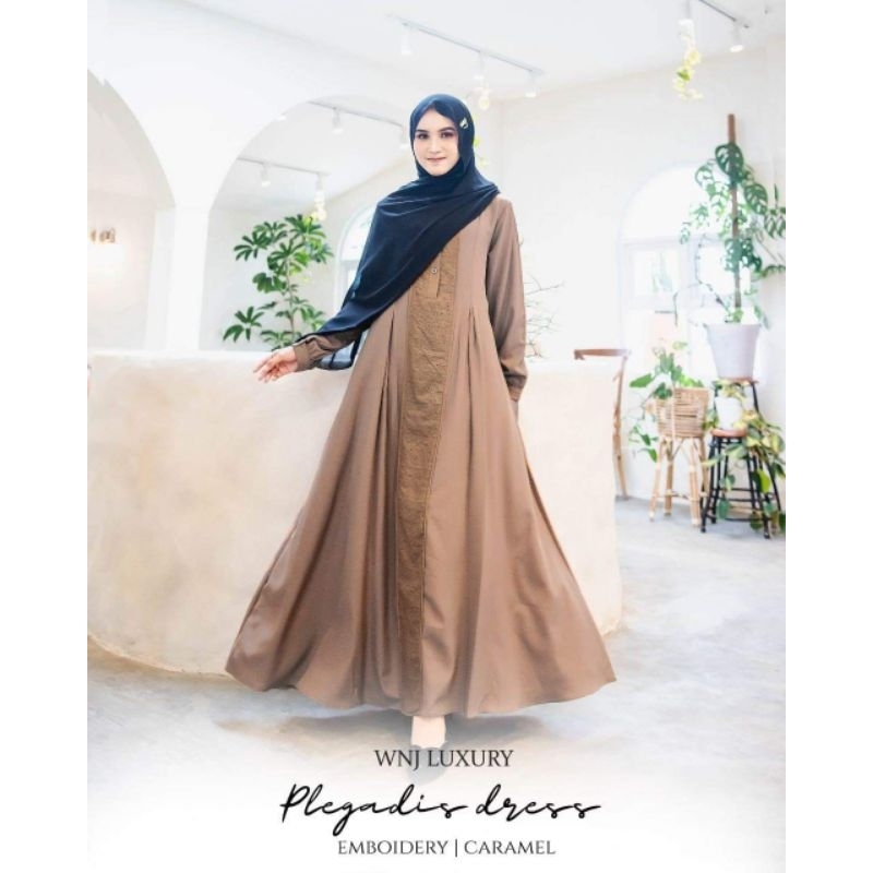 Plegadis dress by WNJ