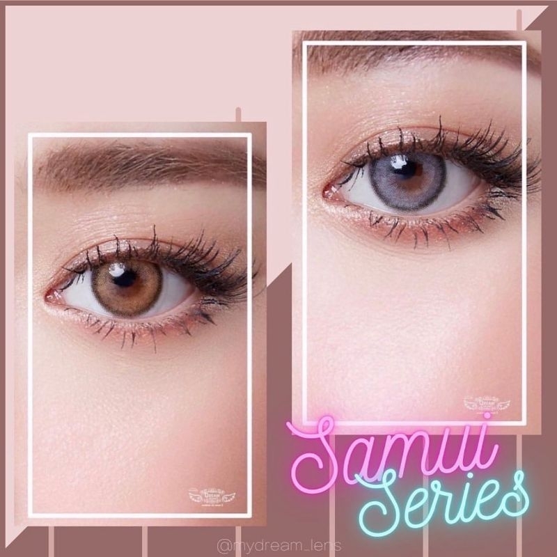 SOFTLENS SAMUI DCL GRAY GREY NORMAL MINUS s.d-6.00 ORIGINAL