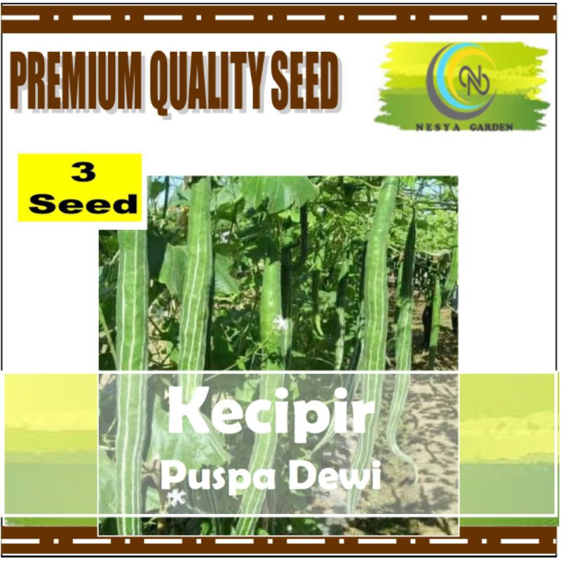 3 Benih Kecipir Puspa Dewi Dharma Seed Benih Benih Sayur - Benih Sayuran