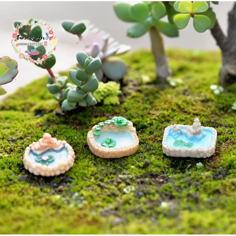 Miniatur Kolam Teratai - Miniatur Kolam Lotus - Miniatur Kolam Air Mancur - Maket Bonsai Terrarium