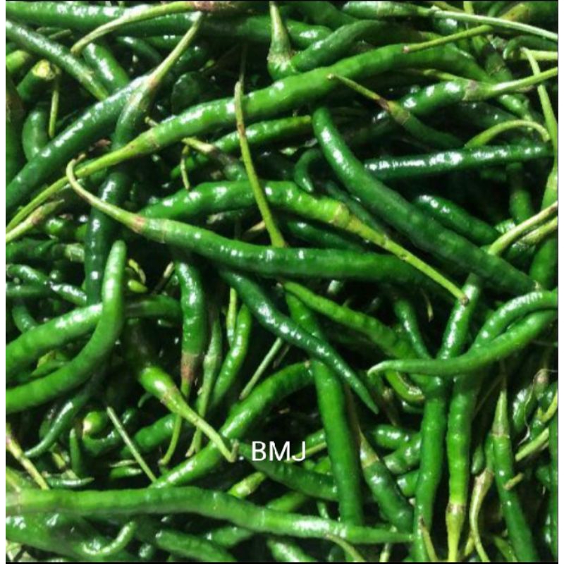 

Cabe Hijau 100gr - 250gr - 500gr