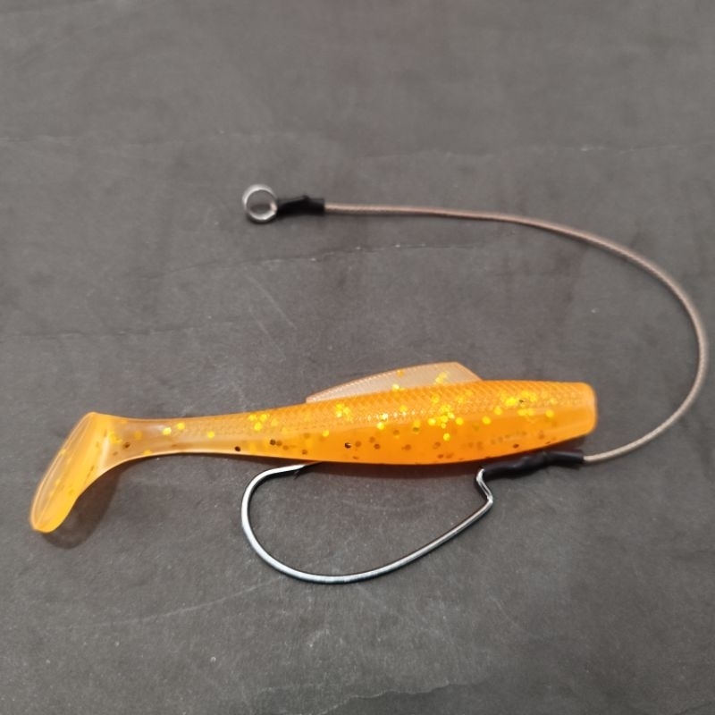 SOFT LURE 10 CM + ASIS WORM HOOK 3/0 Bkk