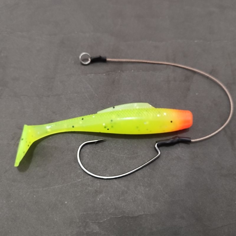 SOFT LURE 10 CM + ASIS WORM HOOK 3/0 Bkk