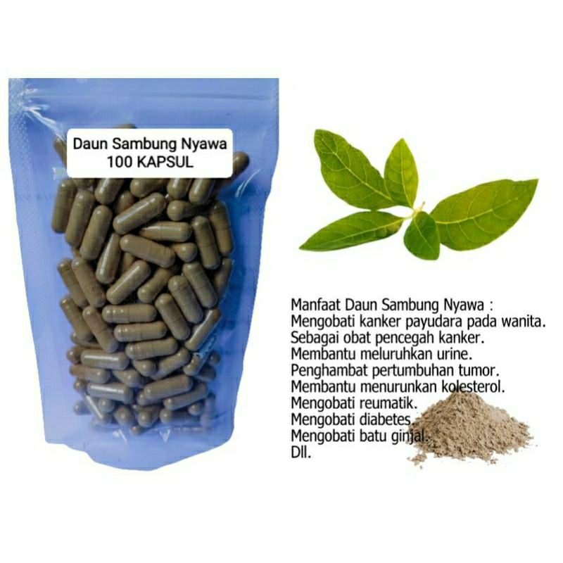 

DAUN SAMBUNG NYAWA 100 KAPSUL OBAT HERBAL TERBAIK TOPP SELLER JATIM (PREMIUM QUALITY)