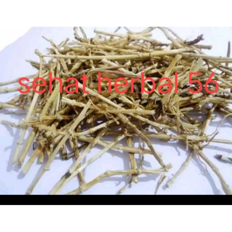 

Alang alang kering 50gram