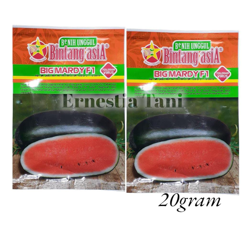 Benih Semangka Inul Merah BONITA F1 20 Gram - Bintang Asia